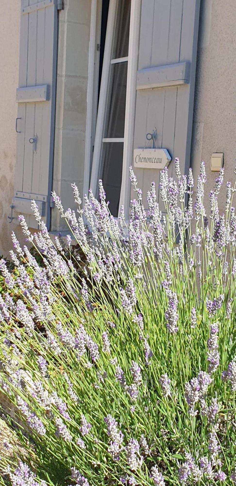 Le Clos De La Rousseliere Francueil Room photo